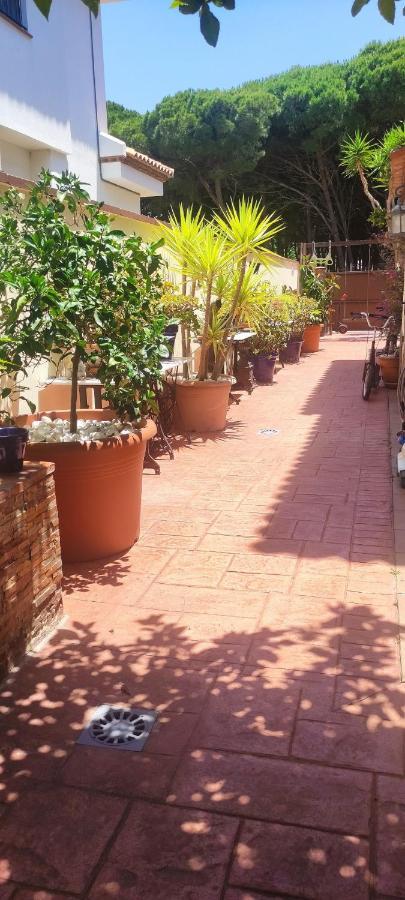 Chalet Con Capacidad Para 8 Personas Chiclana de la Frontera Dış mekan fotoğraf